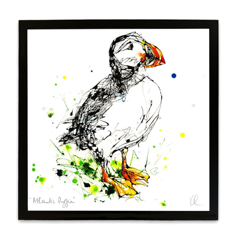 Atlantic Puffin - Puffin Print - Image 8