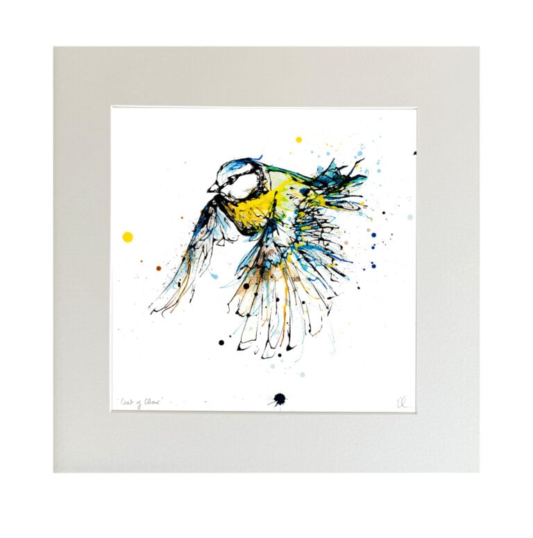 Coat of Colour - Blue Tit Print - Image 6