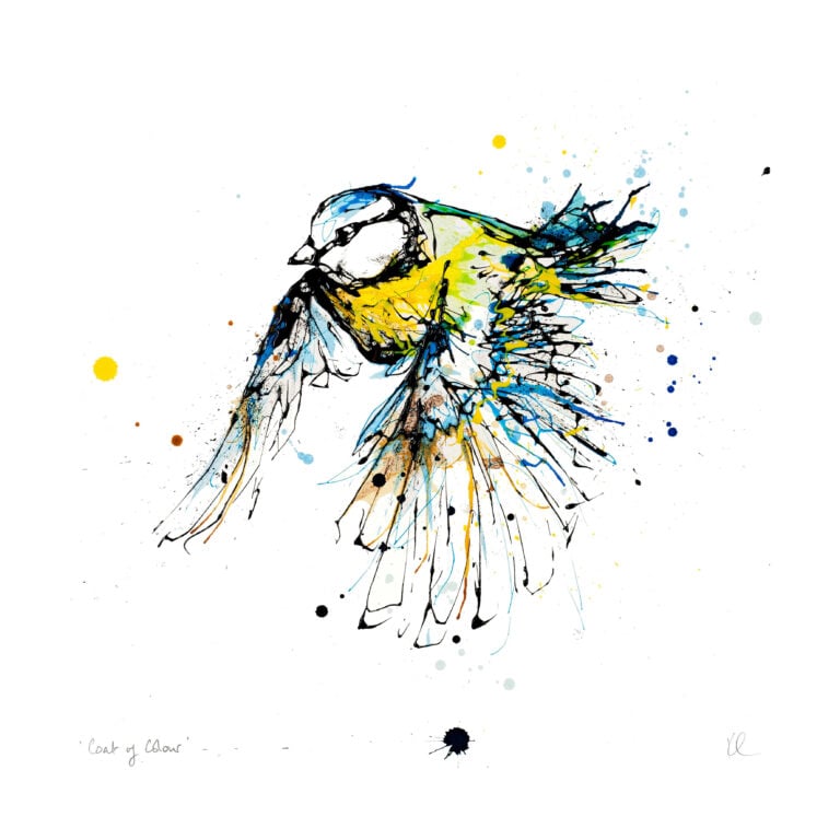 Coat of Colour - Blue Tit Print - Image 7