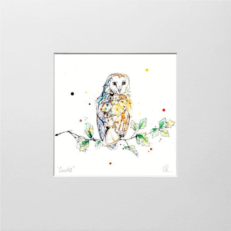 Curio - Barn Owl Print - Image 8