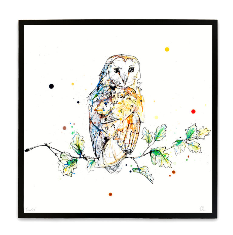 Curio - Barn Owl Print - Image 2