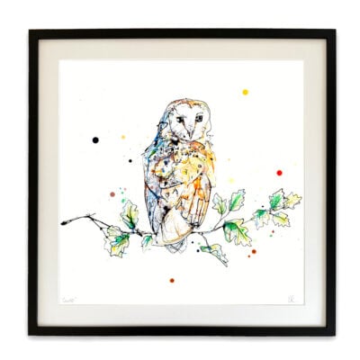 Curio - Barn Owl Print