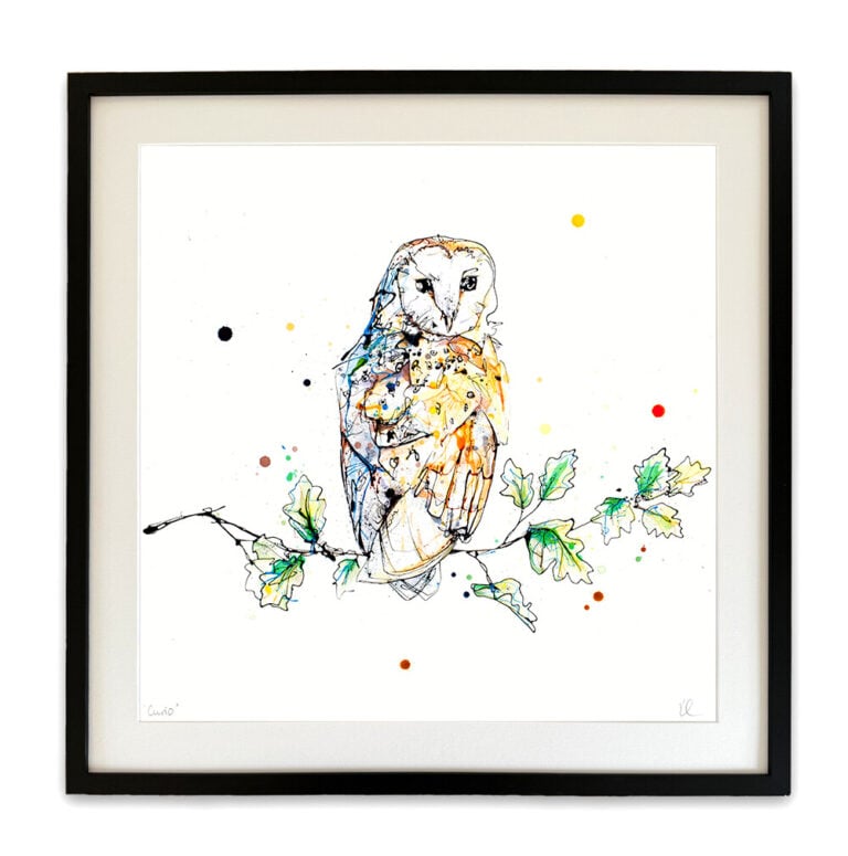 Curio - Barn Owl Print