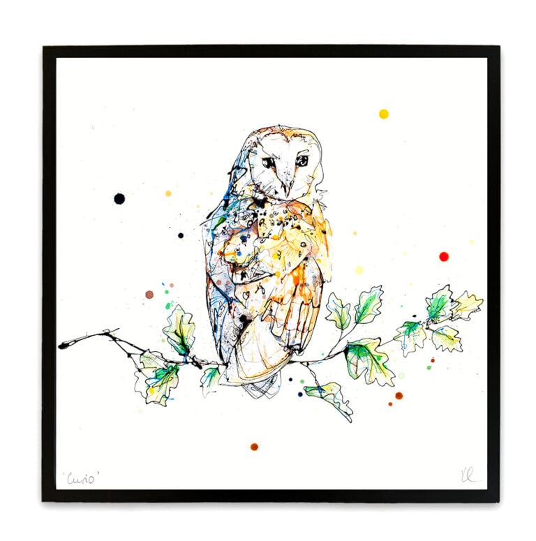 Curio - Barn Owl Print - Image 5