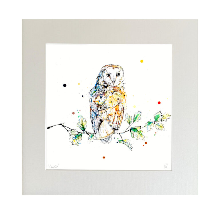 Curio - Barn Owl Print - Image 6