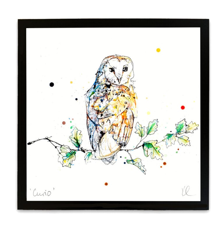 Curio - Barn Owl Print - Image 9