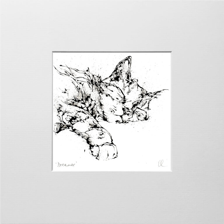 Dreamer - Cat Print - Image 9