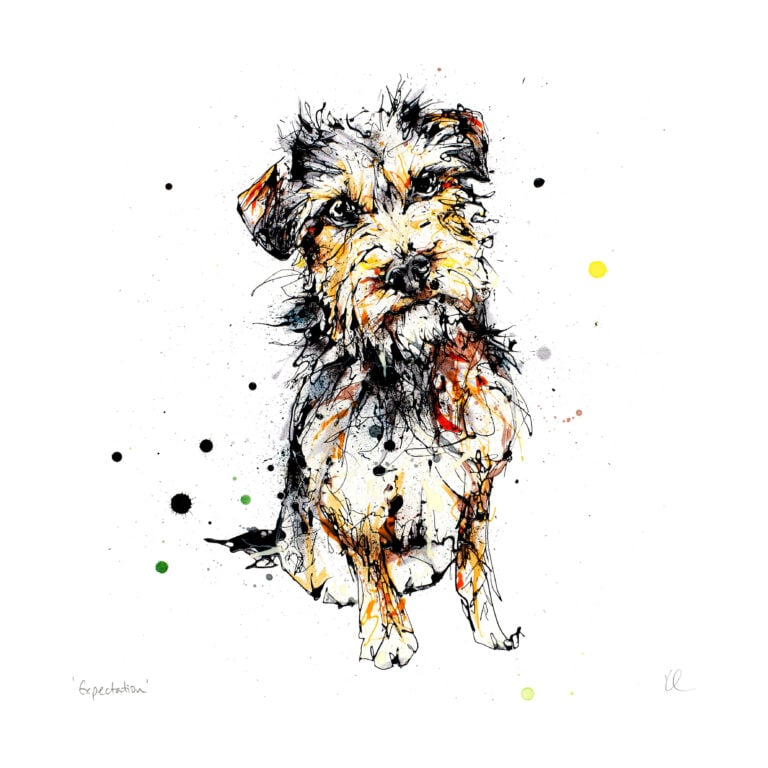 Expectation - Border Terrier Dog Print - Image 7