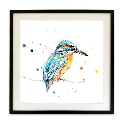 Gaze - Kingfisher Print
