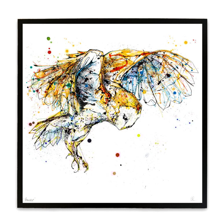 Hover - Barn Owl Print - Image 2