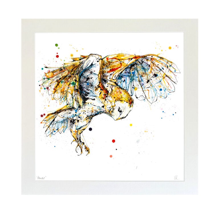 Hover - Barn Owl Print - Image 3
