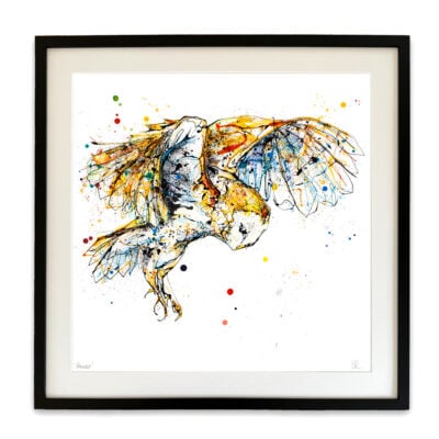 Hover - Barn Owl Print