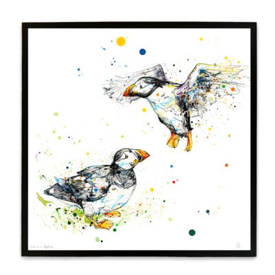 Once in a Lifetime - Atlantic Puffin Print