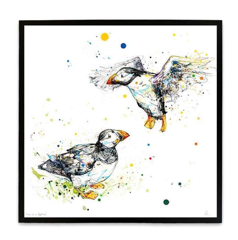 Once in a Lifetime - Atlantic Puffin Print