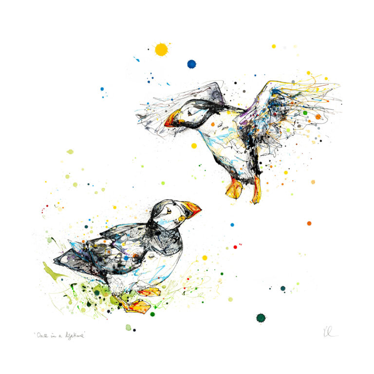 Once in a Lifetime - Atlantic Puffin Print - Image 7