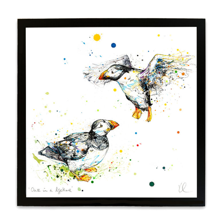 Once in a Lifetime - Atlantic Puffin Print - Image 9