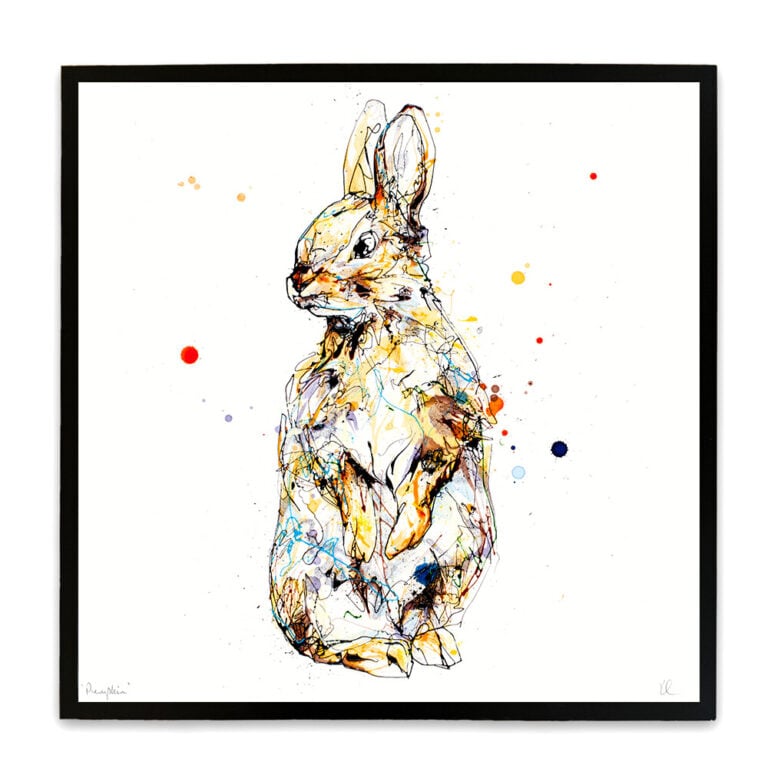 Pumpkin - Rabbit Print - Image 2