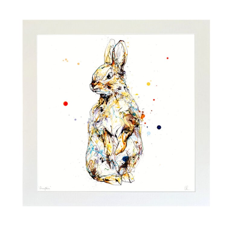 Pumpkin - Rabbit Print - Image 3