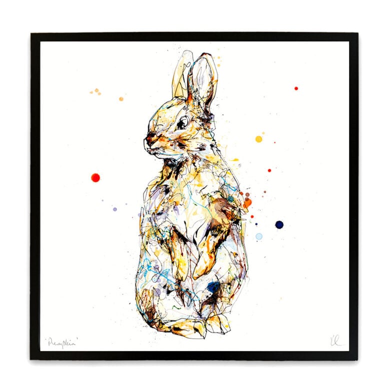 Pumpkin - Rabbit Print - Image 5