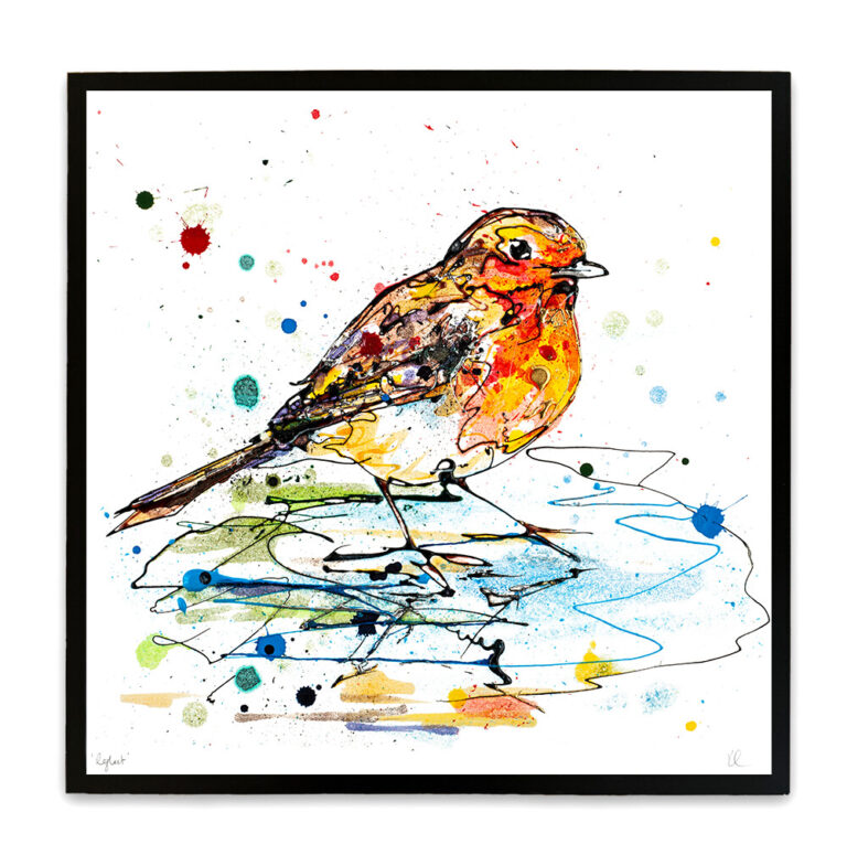 Reflect - Robin Print - Image 2