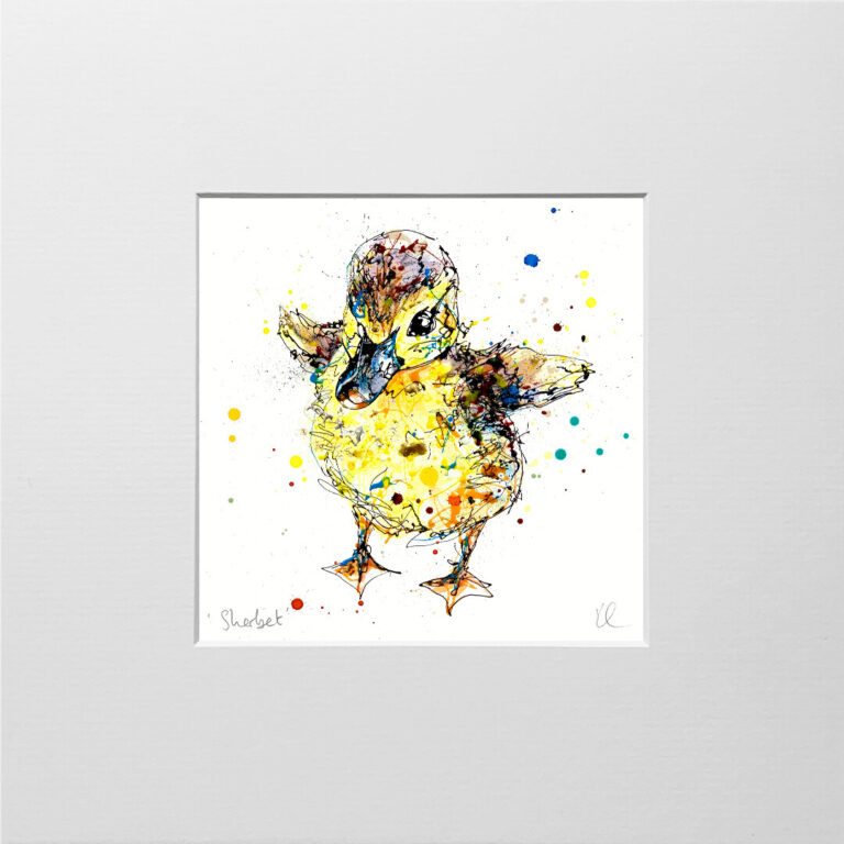 Sherbet - Duckling Print - Image 9