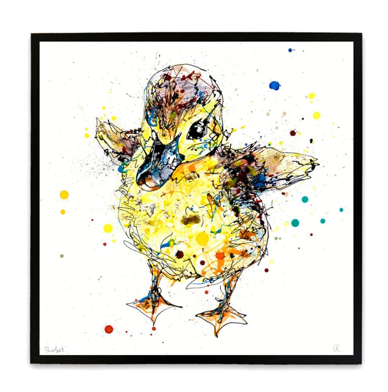 Sherbet - Duckling Print - Image 2