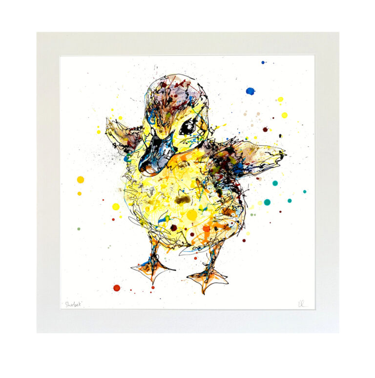 Sherbet - Duckling Print - Image 3