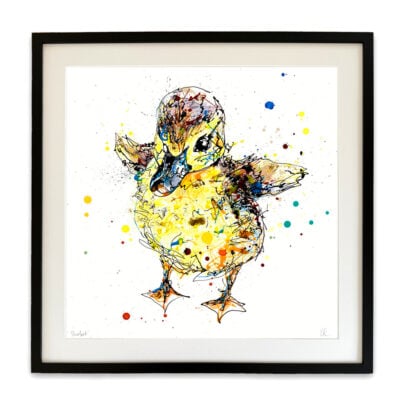 Sherbet - Duckling Print