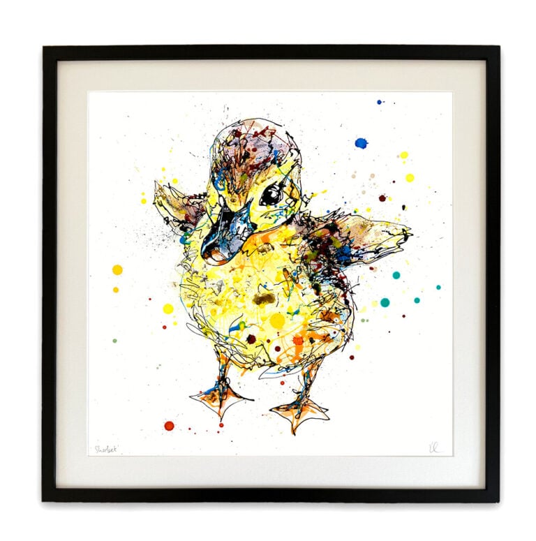 Sherbet - Duckling Print