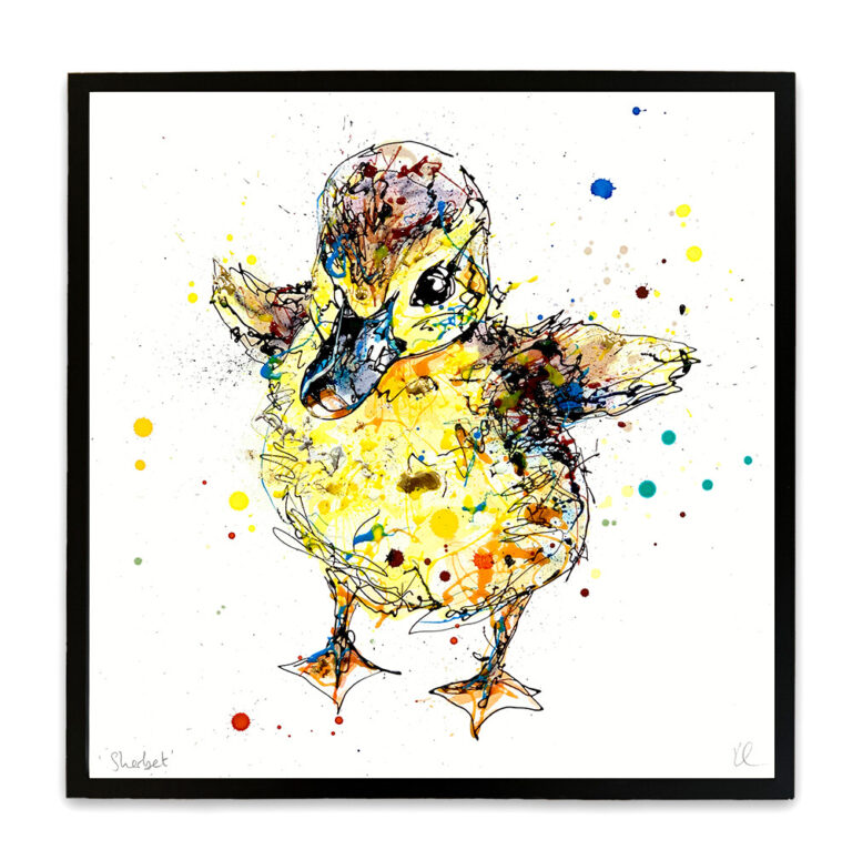 Sherbet - Duckling Print - Image 5