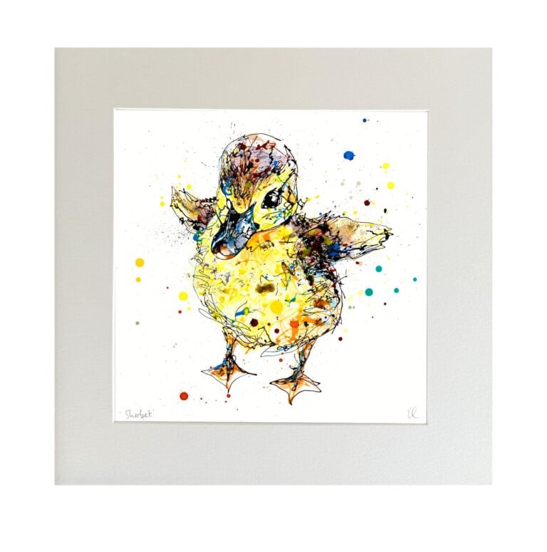 Sherbet - Duckling Print - Image 6