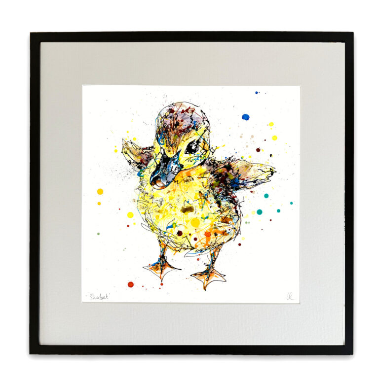 Sherbet - Duckling Print - Image 4