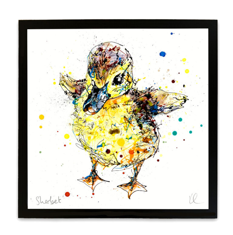 Sherbet - Duckling Print - Image 8