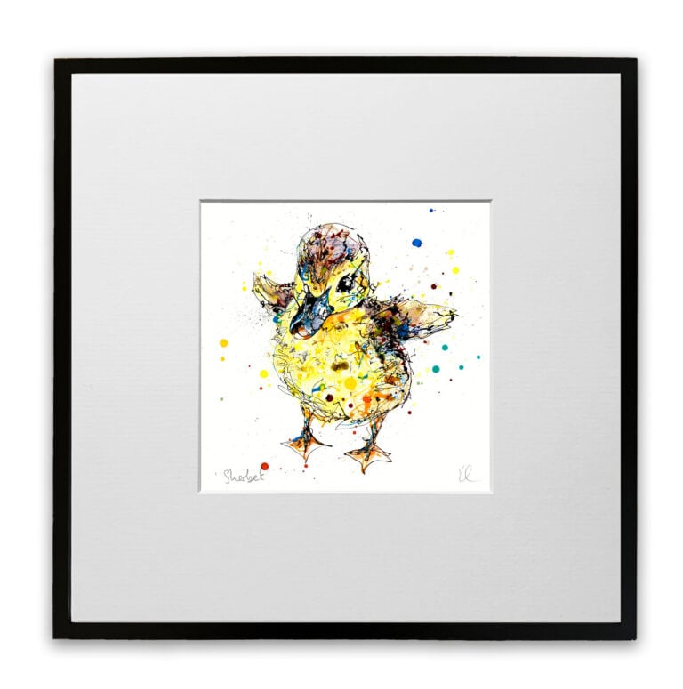 Sherbet - Duckling Print - Image 7