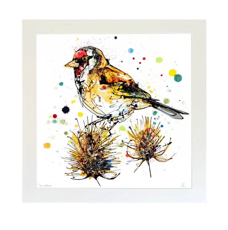 Sundown - Goldfinch Print - Image 3