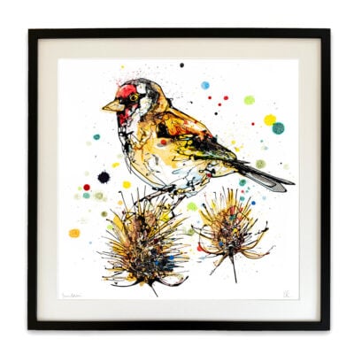 Sundown - Goldfinch Print