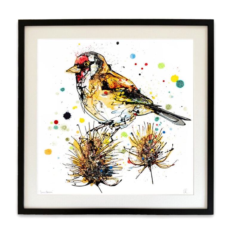 Sundown - Goldfinch Print