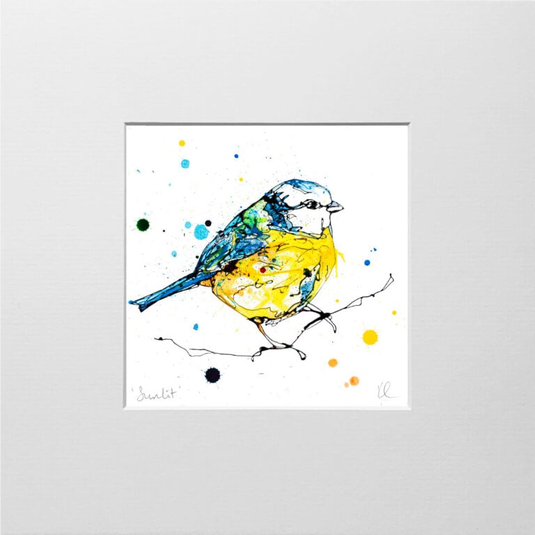 Sunlit - Blue Tit Print - Image 9