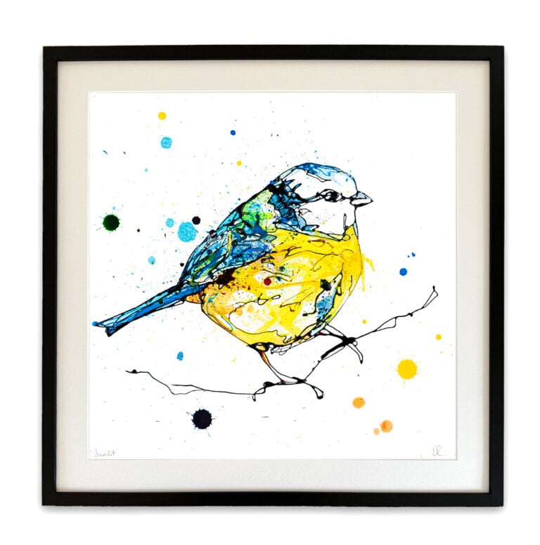 Sunlit - Blue Tit Print