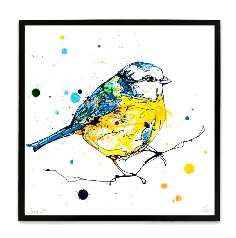 Sunlit - Blue Tit Print - Image 5