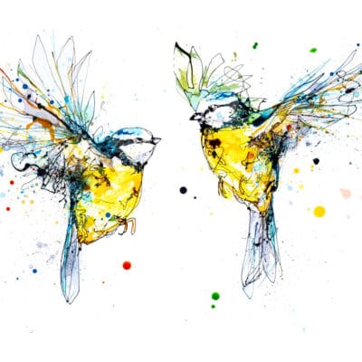 Double Dare - Bluetits Print