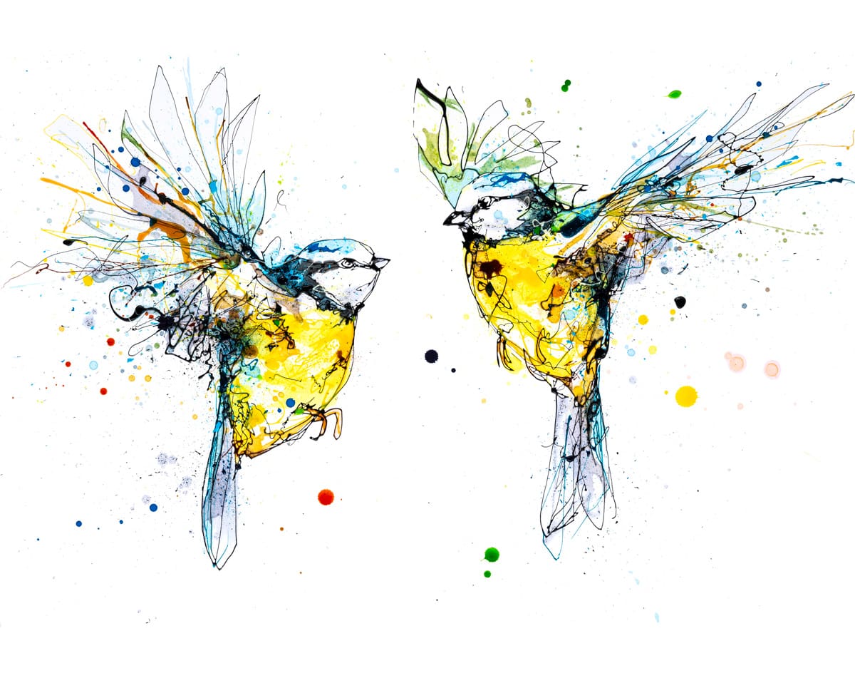 Double Dare - Bluetits Print
