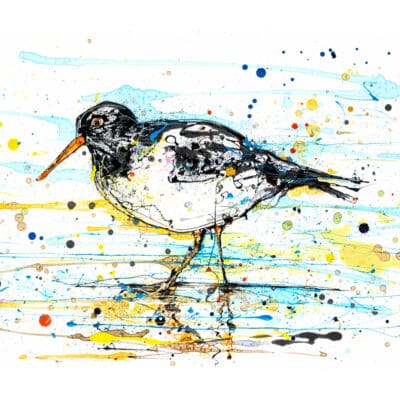 Oyster Catcher - Bird Print