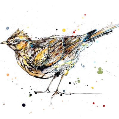 Skylark - Bird Print