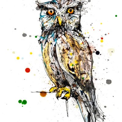 Twit Twoo - Owl Print